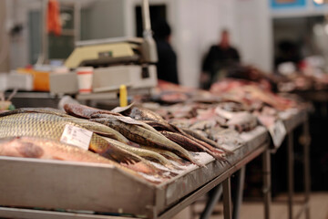 A Colorful Display of Freshly Caught Fish on a Rustic Wooden Table