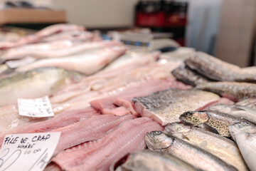 A Colorful Gathering of Fish on a Wooden Table