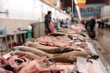 A Display of Fresh Fish at a Vibrant Market