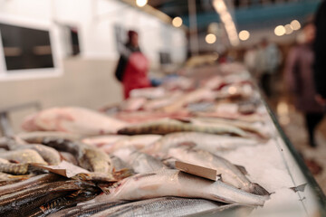 A Colorful Array of Fish on a Table