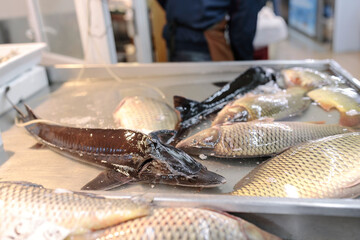 From river to ocean, our market offers a diverse selection of fish and shellfish, including crab,...