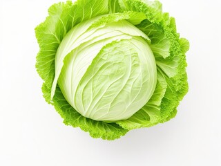 cabbage isolated on white generative ai