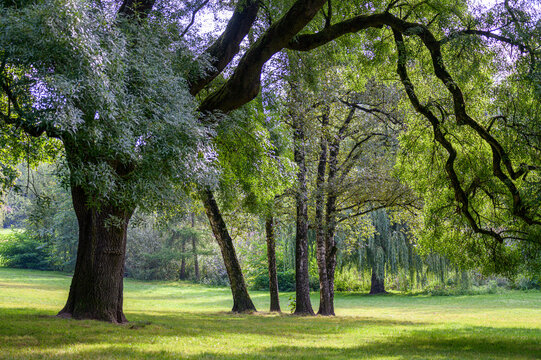 Eppendorfer Park_04
