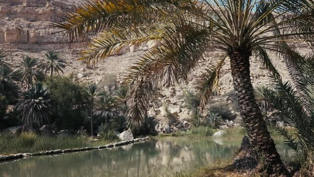 Wadi Bani Khalid, Oman: Spectacular desert oasis with emerald pools and rugged beauty. Natural wonder, serene landscapes and adventurous allure. Ideal for travel, nature, and adventure imagery.