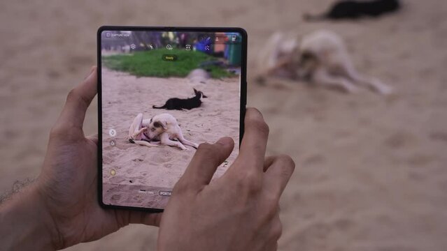 Mobile taking video cute dog | Beach in Goa, By the sea, doggy, Doggo | Goa, India   