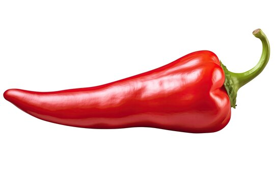 Fresh ripe red chili pepper, isolated. Sweet pepper is rich for vitamin C. Vegetable. Pod pepper. Red bell pepper is viral ingredient for lecso. Cuisine. Paprika. Nutrition. Capsicum. Saturated red