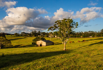 Obraz premium The view of the farm house and meadow in regional Queensland in the dusk in summer