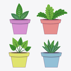 House plant set. Flower pot collection. Green leaves plants in pots. Interior houseplants in planters, baskets. Cute cartoon card. White background. Isolated. Flat design.