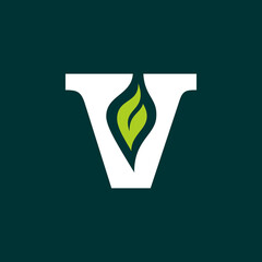 Iconic Letter V Leaf Flame Logo. 
The logo or symbol is a combination of the capital V with white flame or leaf  which gives a natural, spirit, elegant impression.