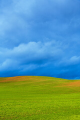 Germination in agricultural field against blue sky.