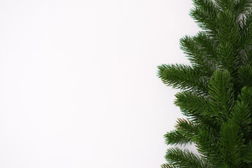 Fir branches on white background. Top view.