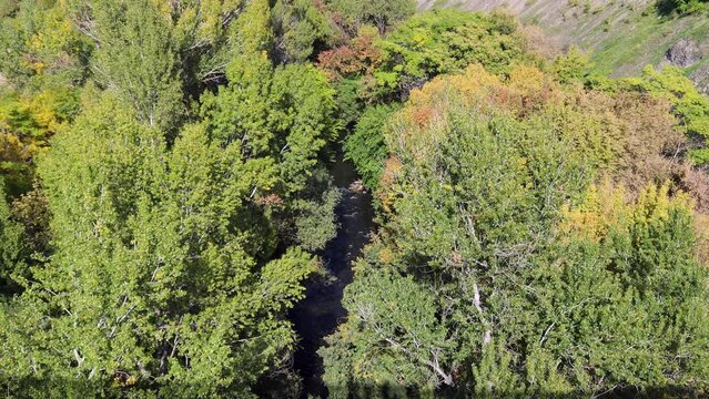 Vibrant autumn foliage adorns the banks of the Hrazdan River on a sunny day in the scenic Hrazdan Gorge, captured from above, uhd, 4k, 3840, 2160