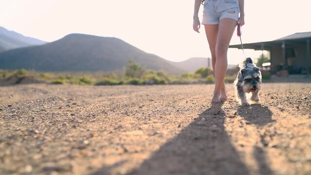 Woman, walking dog and feet on path, adventure or outdoor together for fitness, health or freedom. Person, pet or animal on rope, leash or collar on road, park or nature for bonding, care or ground