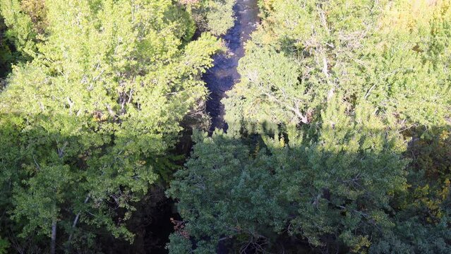 Hrazdan River with vibrant surrounding trees seen from directly above, alongside the picturesque Hrazdan Gorge. Captured from the Victory (Haghtanak, Pobeda) Bridge on a sunny autumn day, uhd, 4k