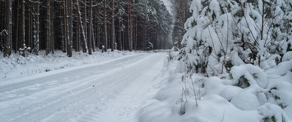 WINTER ATTACK - Snow in forest on trees and on the forest road