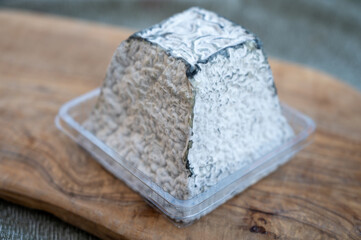 Cheese collection, French Pouligny pyramid cheese made from goat milk in region Pouligny-Saint-Pierre in France close up
