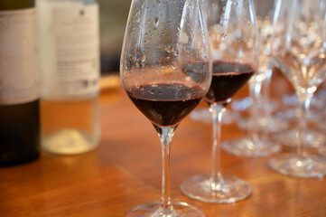 Wine tasting in old wine domain, Saint Estephe village, Haut-Medoc vineyards in Bordeaux, left bank of Gironde Estuary, France, wine tour in Bordeaux