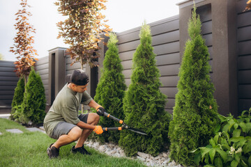 A young man is cutting pruning trees with a garden pruner in the backyard. A professional gardener is trimming big green bushes with gardening scissors in the park. - obrazy, fototapety, plakaty
