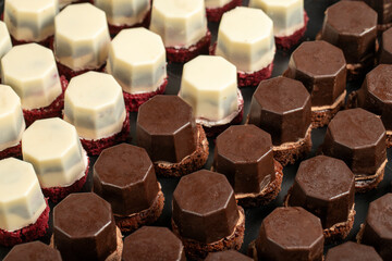 Small chocolate cake. Chocolate and cream tartlets cake. Close up