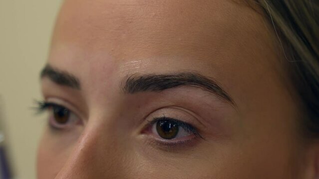 Professional brows lamination process with beautiful girl.