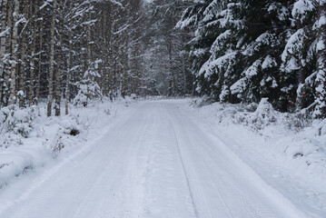 Obraz premium WINTER ATTACK - Snow in forest on trees and on the forest road 