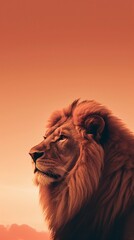 lion head portrait, background for instagram story, banner