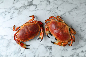Delicious boiled crabs on white marble table, top view