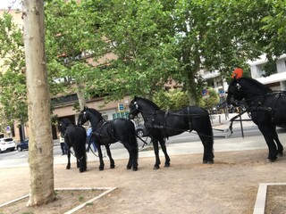 Lugares bellos y ciudades m&aacute;gicas y otras cosas de inter&eacute;s 