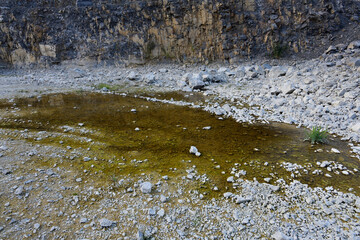 Laichgewässer von Kreuzkröte, Wechselkröte und Gelbbauchunke in einem Kalksteinbruch