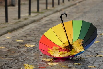 Open colorful umbrella with fallen leaves on wet pavement. Space for text
