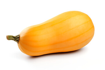 Fresh Butternut Squash