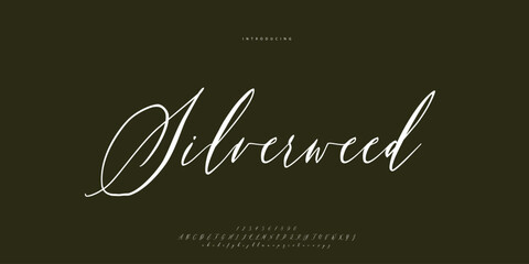 Fototapeta na wymiar Abstract Fashion font alphabet. Minimal modern urban fonts for logo, brand etc. Typography Calligraphy typeface uppercase lowercase and number. vector illustration 