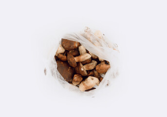 Polish mushroom packed in plastic bag over light background. Copy space. Top view. Organic forest food, edible fresh picked. Plastic Pollution, Consumerism, Healthy Eating concept