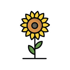 sunflower icon with white background vector stock illustration