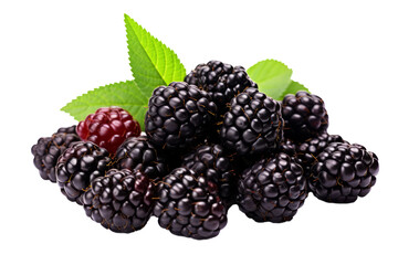 Moras en fondo transparente.