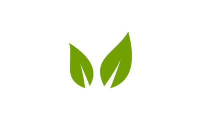 green leaf icon