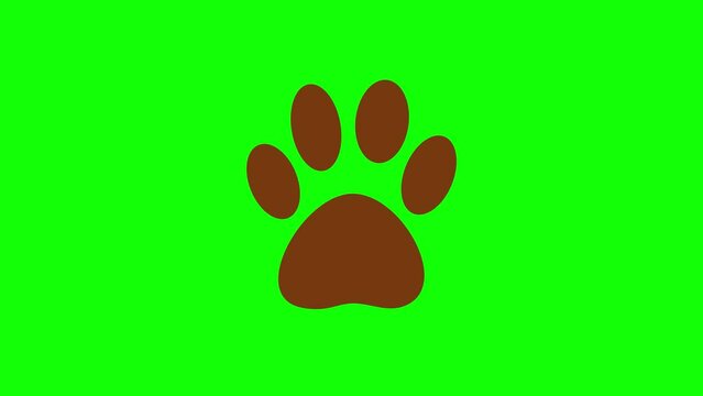 Animated animal paw icon. Animation, pictogram, motion graphics.