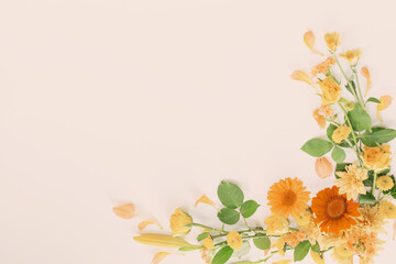 frame of beautiful flowers on white background - obrazy, fototapety, plakaty