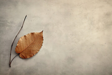 leaf on a concrete background. Generative Ai