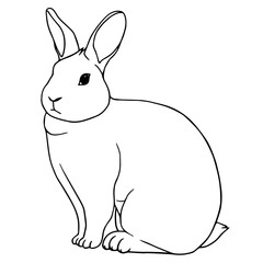 Rabbit hare animal in vector linear illustration, hand drawing