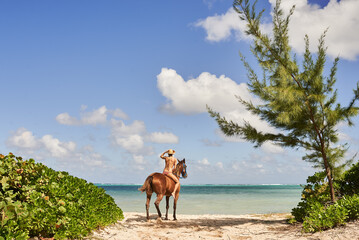 A woman in a bikini on a horse looks out onto a Caribbean ocean scene framed by lush vegetation 