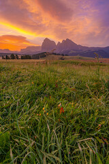 Alpe di Siusi (Seiser Alm), Europe's largest high-alpine pasture in South Tyrol, Italy. A captivating landscape unfolds