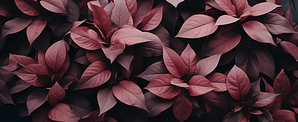 Foto op Canvas Serene Burgundy Foliage Embracing the Essence of Autumn in a Silent, Harmonious Display © Jahid