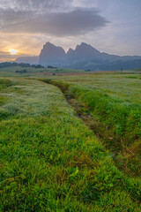 Sunrise at Alpe di Siusi, green meadows, distant peaks, an enchanting moment in the heart of the Dolomites, bathed in the soft glow of morning light