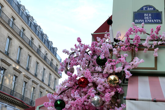 ruelle parisienne