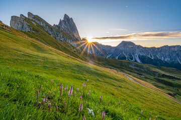 Golden sunrise at Seceda, Dolomites, A breathtaking spectacle unfolds, bathing the meadows in warm...