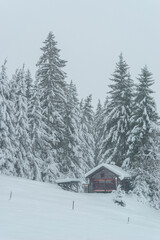 Hütte in Winterlandschaft, Alpin