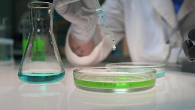 Close-up shot of unrecognizable female researcher with prosthetic hand, in white lab coat carefully adding drops of blue substrate into Petri dish with cultivated cells, using pipette