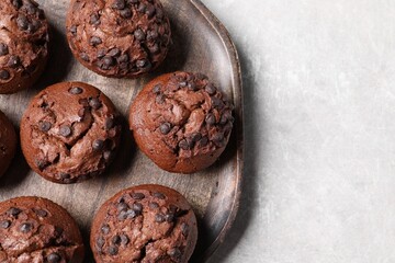 Tasty chocolate muffins on grey table, top view. Space for text