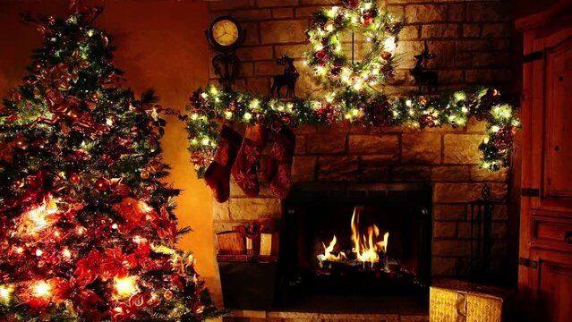Christmas tree fireplace Nature Video
